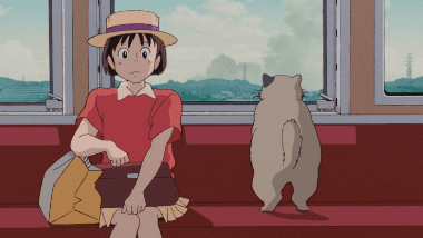 Shizuku surprised to see a mysterious fat cat on a commuter train seat