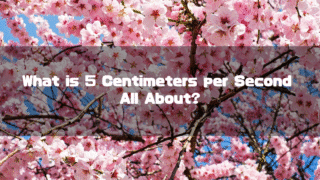 A vibrant background of pink cherry blossoms in full bloom against a blue sky, with a text overlay that reads, “What is 5 Centimeters per Second All About?”