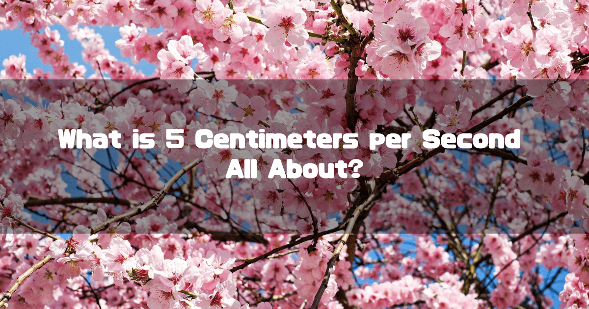 A vibrant background of pink cherry blossoms in full bloom against a blue sky, with a text overlay that reads, “What is 5 Centimeters per Second All About?”