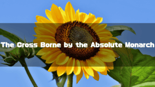 Close-up of a single sunflower against a blue sky. Text reads: "The Cross Borne by the Absolute Monarch".