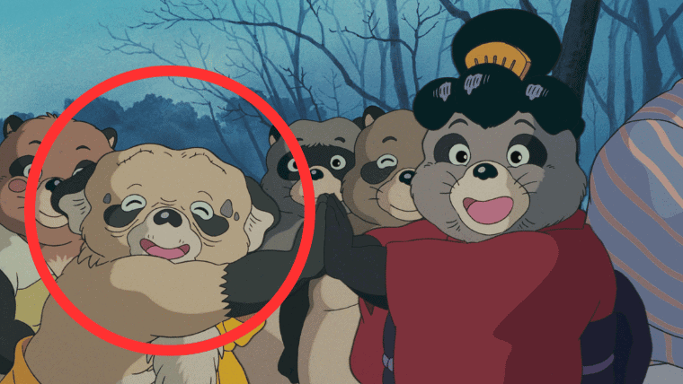 An image of the tanuki character Tsurukame Oshō