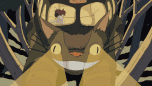 Catbus